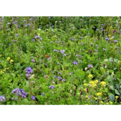 Lord Noords Wildakker Mengsel