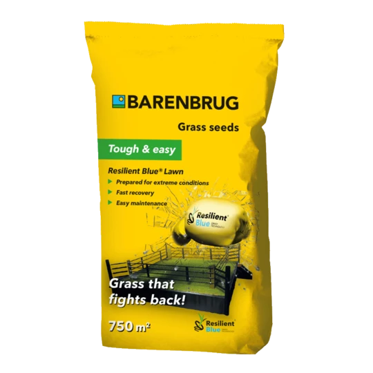 Barenbrug Resilient Blue® Lawn 15kg - Speelgazon 3 Barenbrug Resilient Blue® Lawn 15kg - Speelgazon