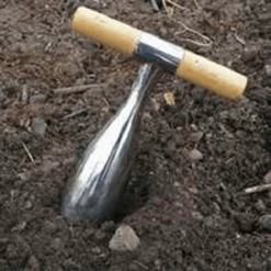 De Wiltfang RHS Pootstok -TuinZaadShop image 388