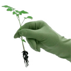 De Wiltfang Foxgloves Original