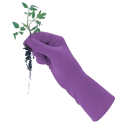 De Wiltfang Foxgloves Original -TuinZaadShop image 395