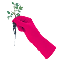 De Wiltfang Foxgloves Original -TuinZaadShop image 396