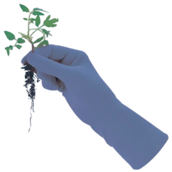 De Wiltfang Foxgloves Original -TuinZaadShop image 397