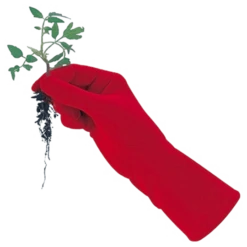 De Wiltfang Foxgloves Original -TuinZaadShop image 398