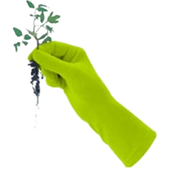 De Wiltfang Foxgloves Original -TuinZaadShop image 399