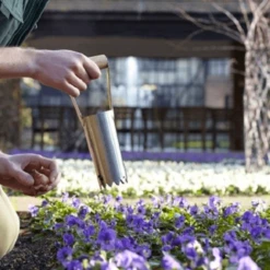 De Wiltfang RHS Bollenpriem, Handmodel -TuinZaadShop image 414