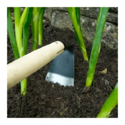 TuinZaadShop -TuinZaadShop image 416