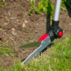 TuinZaadShop -TuinZaadShop image 418